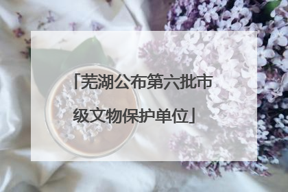 芜湖公布第六批市级文物保护单位