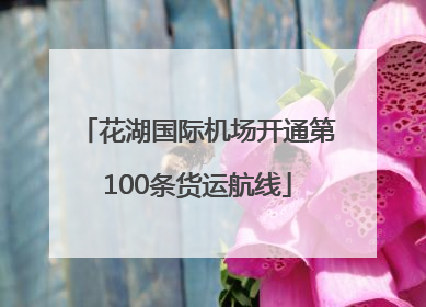 花湖国际机场开通第100条货运航线
