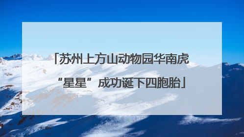 苏州上方山动物园华南虎“星星”成功诞下四胞胎