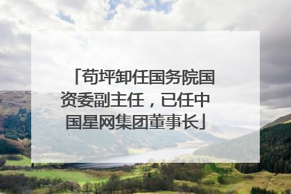 苟坪卸任国务院国资委副主任，已任中国星网集团董事长
