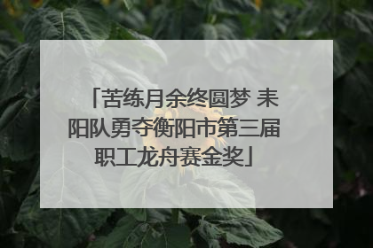 苦练月余终圆梦 耒阳队勇夺衡阳市第三届职工龙舟赛金奖