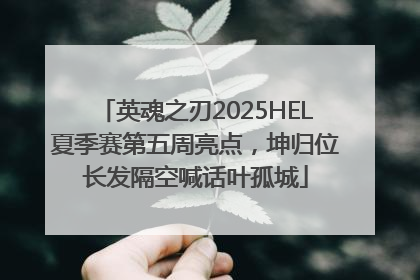 英魂之刃2025HEL夏季赛第五周亮点，坤归位长发隔空喊话叶孤城