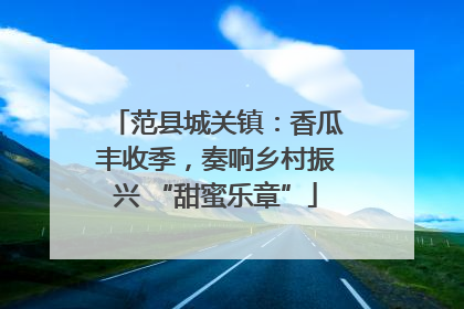 范县城关镇：香瓜丰收季，奏响乡村振兴 “甜蜜乐章”
