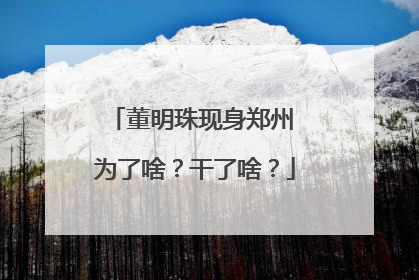 董明珠现身郑州 为了啥？干了啥？