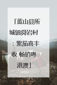 蓝山县所城镇舜岩村：紫茄喜丰收 畅销粤港澳