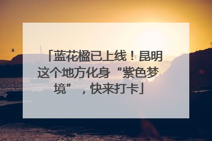 蓝花楹已上线！昆明这个地方化身“紫色梦境”，快来打卡