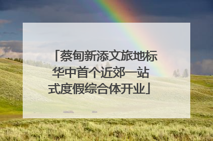 蔡甸新添文旅地标 华中首个近郊一站式度假综合体开业