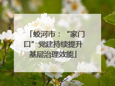蛟河市：“家门口”党建持续提升基层治理效能