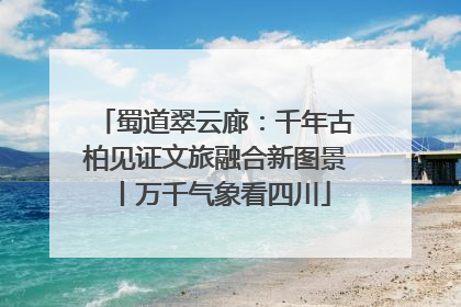 蜀道翠云廊：千年古柏见证文旅融合新图景丨万千气象看四川
