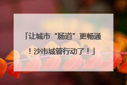 让城市“肠道”更畅通！沙市城管行动了！