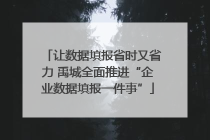 让数据填报省时又省力 禹城全面推进“企业数据填报一件事”