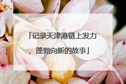记录天津港链上发力、蓬勃向新的故事