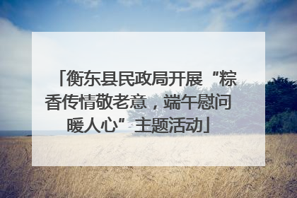 衡东县民政局开展“粽香传情敬老意，端午慰问暖人心”主题活动