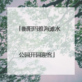 衡阳玛雅海滩水公园开园迎客