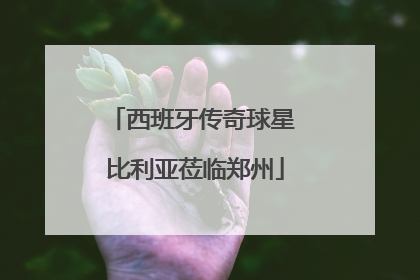 西班牙传奇球星 比利亚莅临郑州