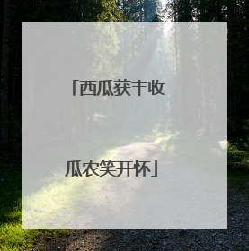 西瓜获丰收 瓜农笑开怀