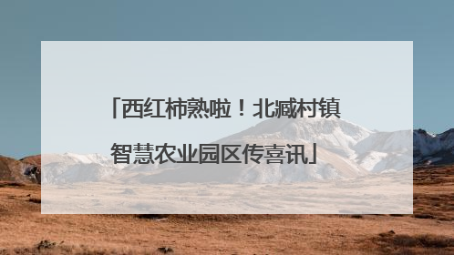 西红柿熟啦！北臧村镇智慧农业园区传喜讯