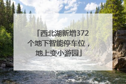 西北湖新增372个地下智能停车位，地上变小游园
