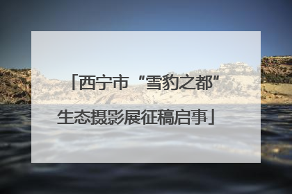 西宁市“雪豹之都”生态摄影展征稿启事