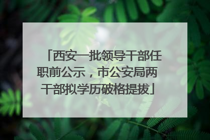 西安一批领导干部任职前公示，市公安局两干部拟学历破格提拔