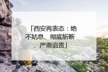 西安再表态：绝不姑息、彻底斩断、严肃追责