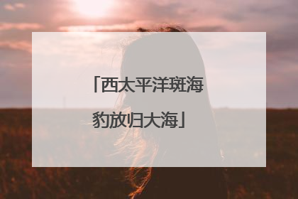 西太平洋斑海豹放归大海