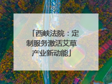 西峡法院：定制服务激活艾草产业新动能