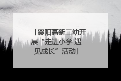 襄阳高新二幼开展“走进小学 遇见成长”活动