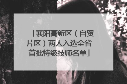 襄阳高新区（自贸片区）两人入选全省首批特级技师名单