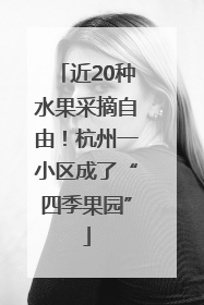 近20种水果采摘自由！杭州一小区成了“四季果园”