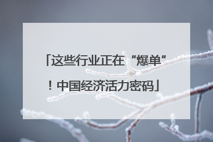 这些行业正在“爆单”！中国经济活力密码