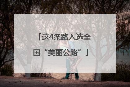 这4条路入选全国“美丽公路”