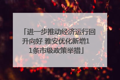 进一步推动经济运行回升向好 雅安优化新增11条市级政策举措