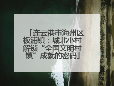 连云港市海州区板浦镇：城北小村解锁“全国文明村镇”成就的密码