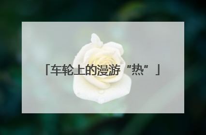 车轮上的漫游“热”