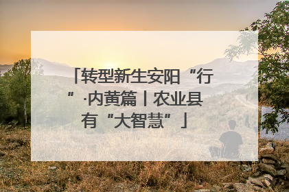 转型新生安阳“行”·内黄篇丨农业县有“大智慧”