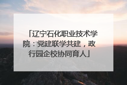 辽宁石化职业技术学院：党建联学共建，政行园企校协同育人