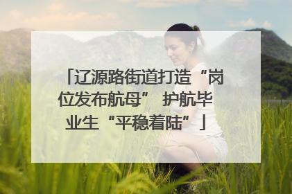 辽源路街道打造“岗位发布航母” 护航毕业生“平稳着陆”