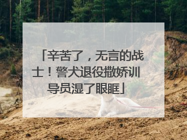 辛苦了，无言的战士！警犬退役撒娇训导员湿了眼眶
