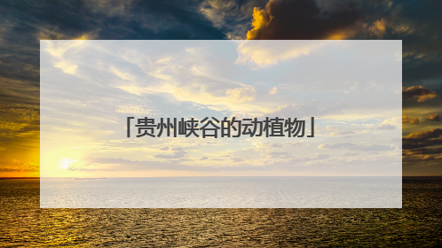 贵州峡谷的动植物