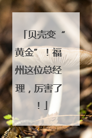贝壳变“黄金”！福州这位总经理，厉害了！