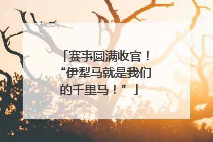 赛事圆满收官！“伊犁马就是我们的千里马！”