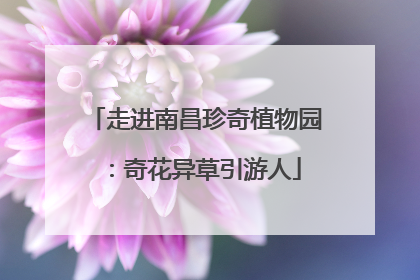 走进南昌珍奇植物园：奇花异草引游人