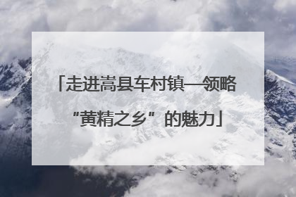 走进嵩县车村镇—领略“黄精之乡”的魅力