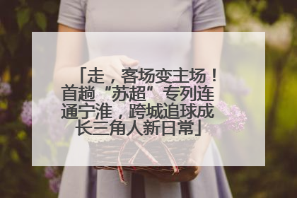 走，客场变主场！首趟“苏超”专列连通宁淮，跨城追球成长三角人新日常