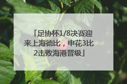 足协杯1/8决赛迎来上海德比，申花3比2击败海港晋级