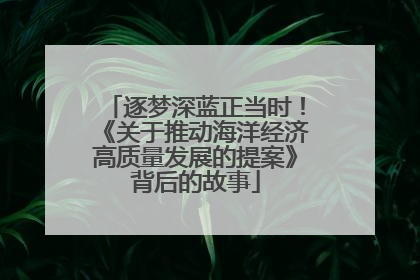 逐梦深蓝正当时！《关于推动海洋经济高质量发展的提案》背后的故事