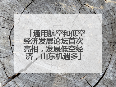 通用航空和低空经济发展论坛首次亮相，发展低空经济，山东机遇多