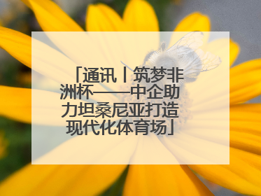 通讯丨筑梦非洲杯——中企助力坦桑尼亚打造现代化体育场