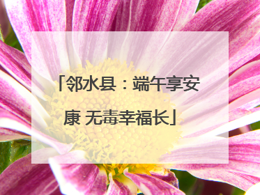 邻水县：端午享安康 无毒幸福长